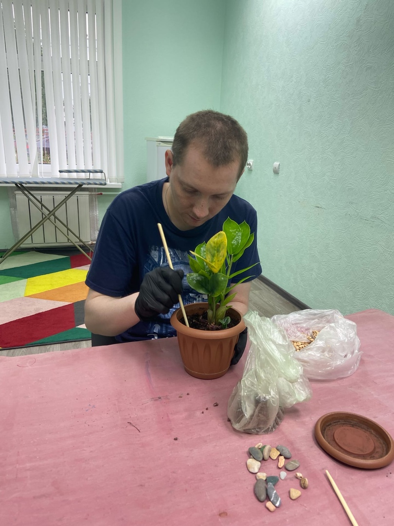Пересаживание комнатных растений