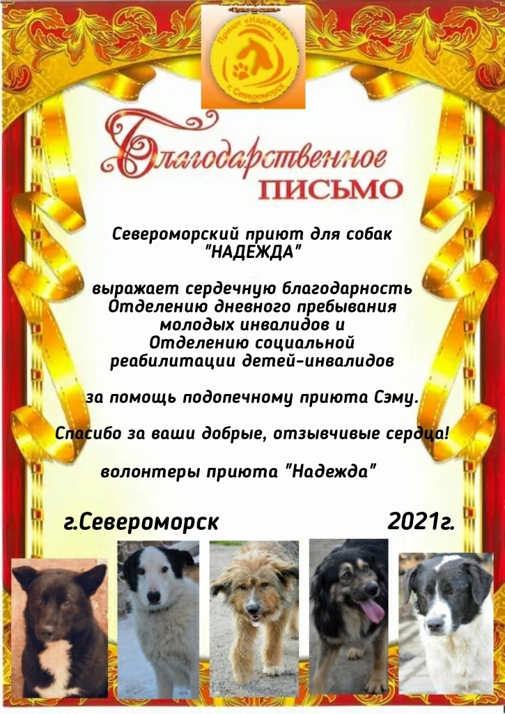 благодарность приют надежда