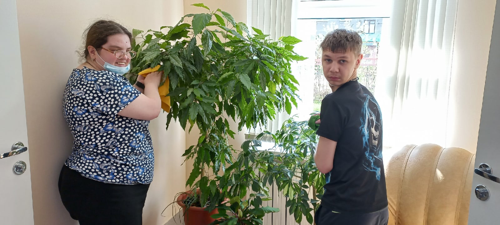 уход за растениями