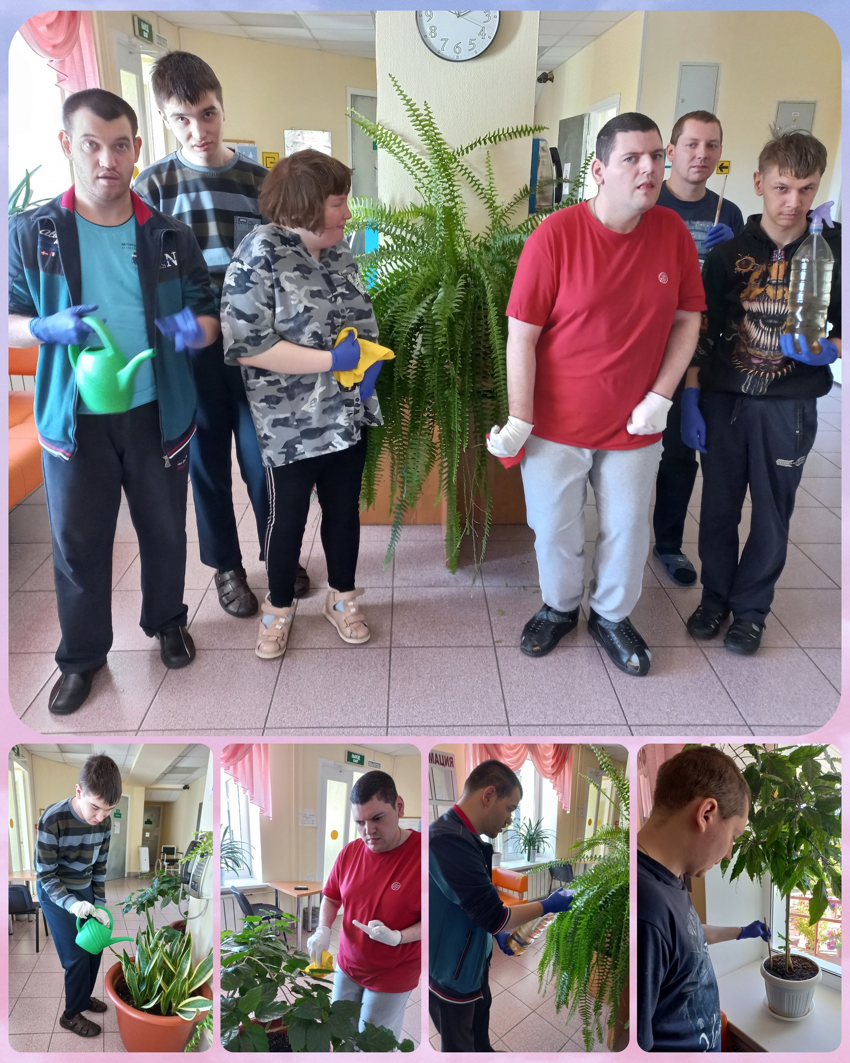 уход за комнатными растениями