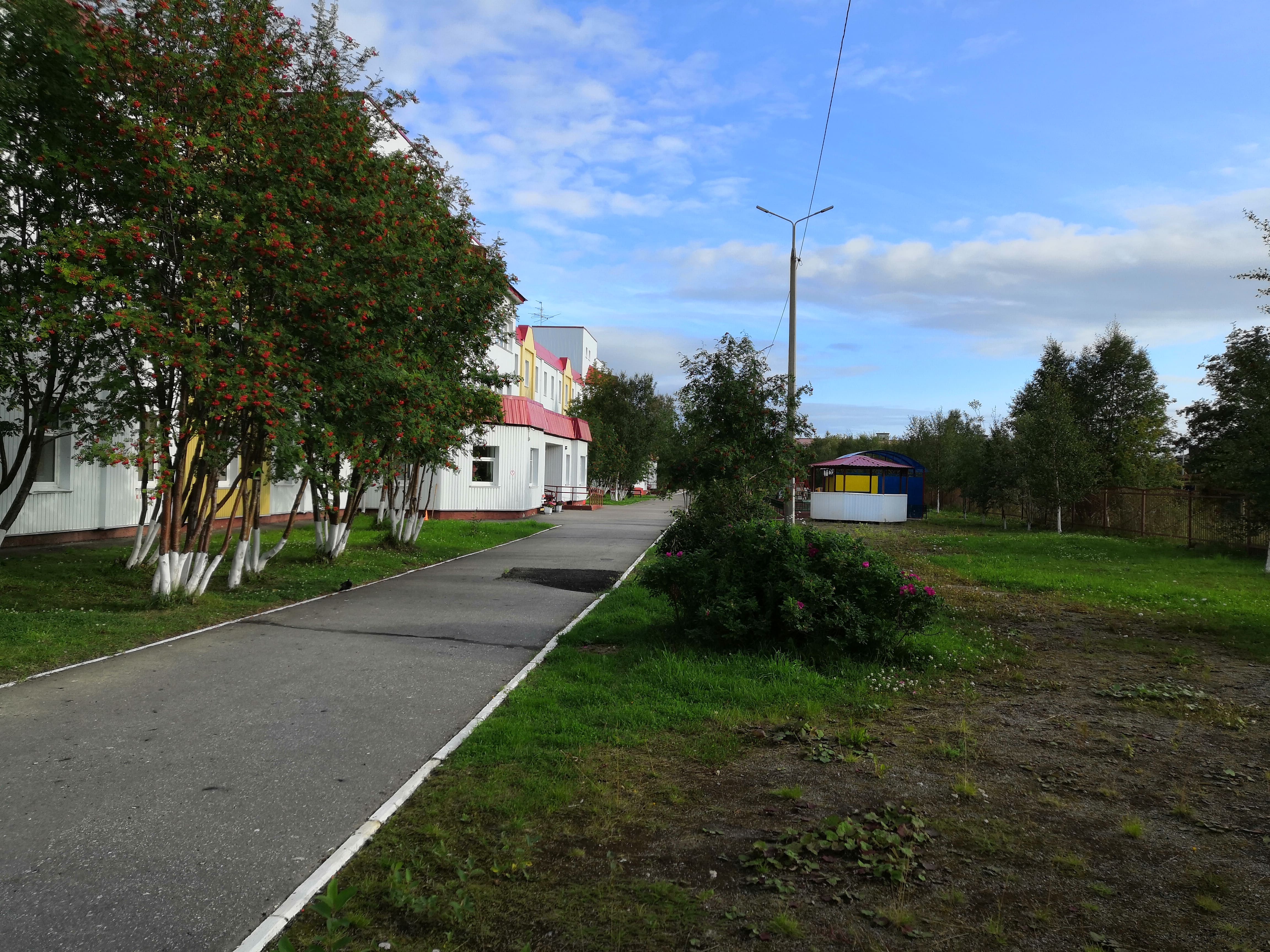 дорожки.jpg